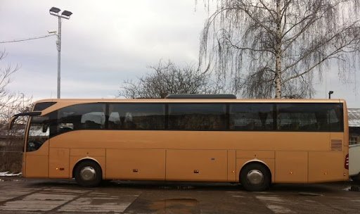 Bus Services
